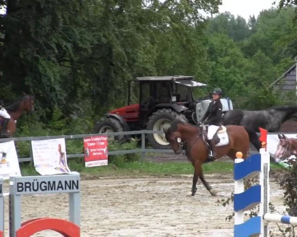 Iserlohn-Kalthof 2014