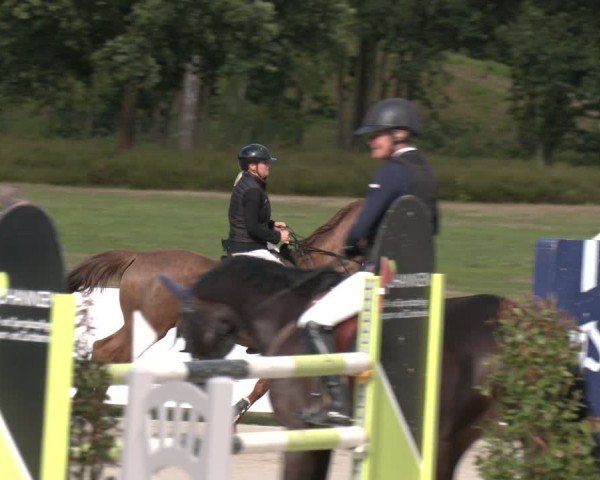 Reitturnier Westergellersen 2025