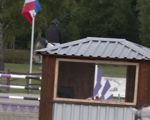 Reitturnier Westergellersen 2025