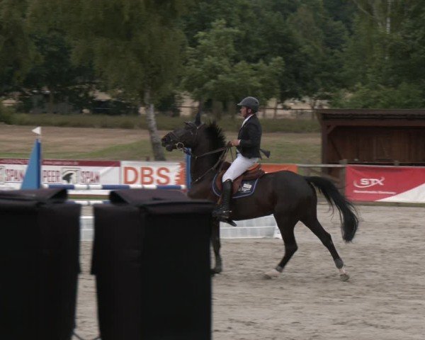 Reitturnier Westergellersen 2025