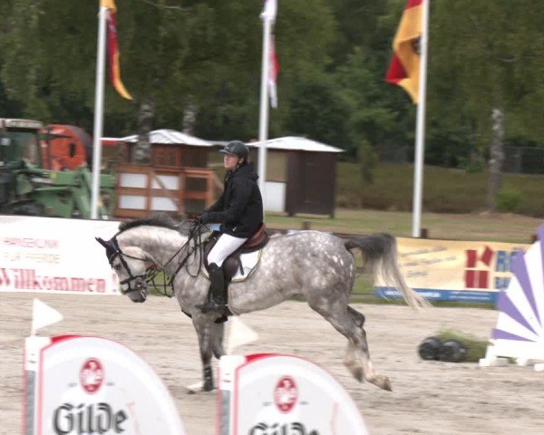 Reitturnier Westergellersen 2025
