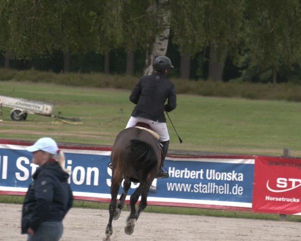 Reitturnier Westergellersen 2025