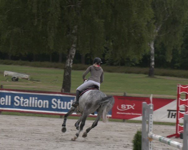 Reitturnier Westergellersen 2025