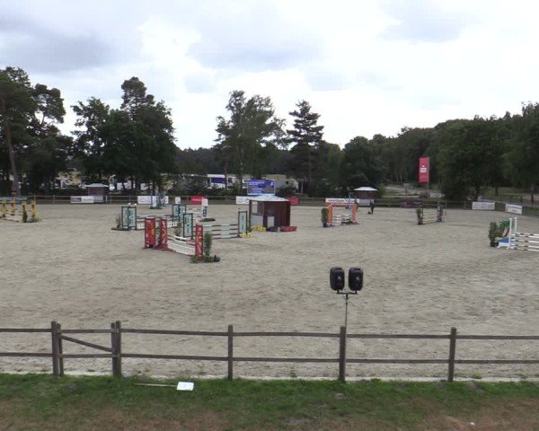 Reitturnier Westergellersen 2025