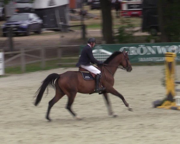 Reitturnier Westergellersen 2025
