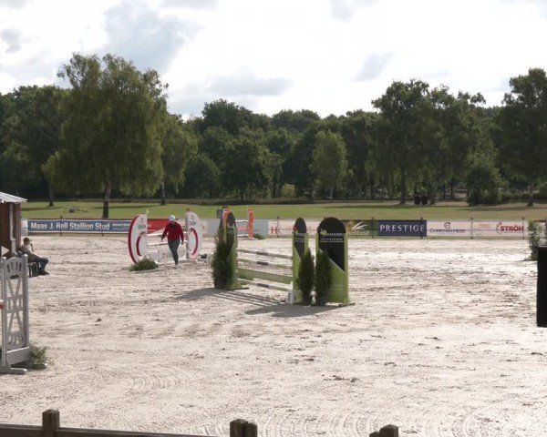 Reitturnier Westergellersen 2025