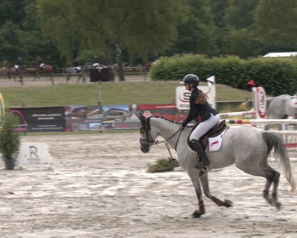 Reitturnier Westergellersen 2025