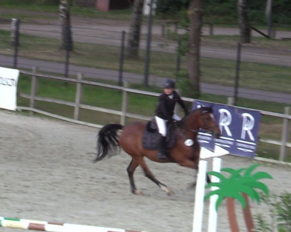 Reitturnier Westergellersen 2025