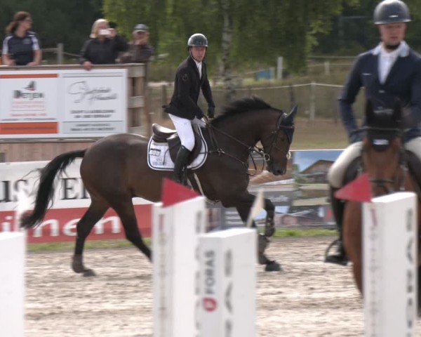 Reitturnier Westergellersen 2025