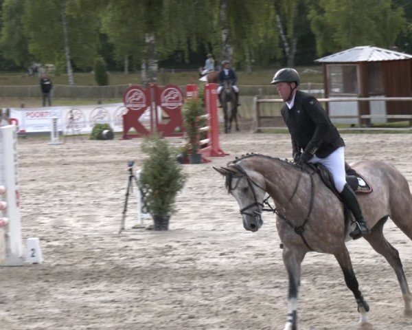 Reitturnier Westergellersen 2025