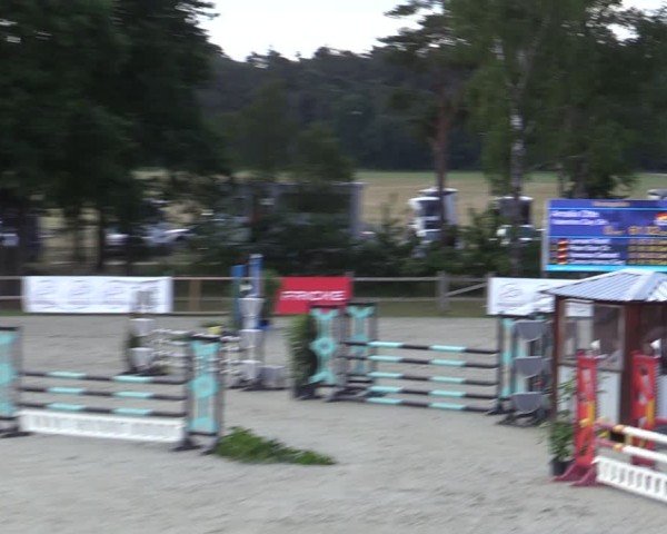 Reitturnier Westergellersen 2025