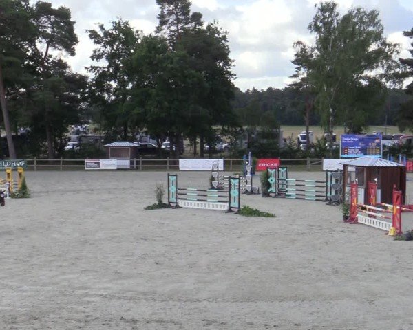 Reitturnier Westergellersen 2025