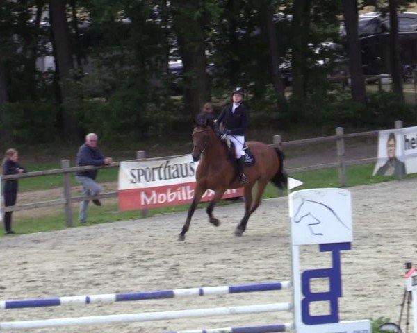 Reitturnier Westergellersen 2025