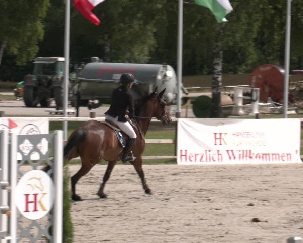 Reitturnier Westergellersen 2025