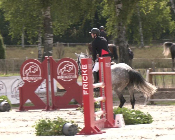 Reitturnier Westergellersen 2025