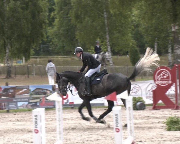 Reitturnier Westergellersen 2025