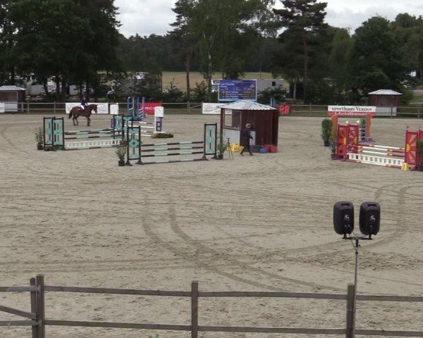 Reitturnier Westergellersen 2025
