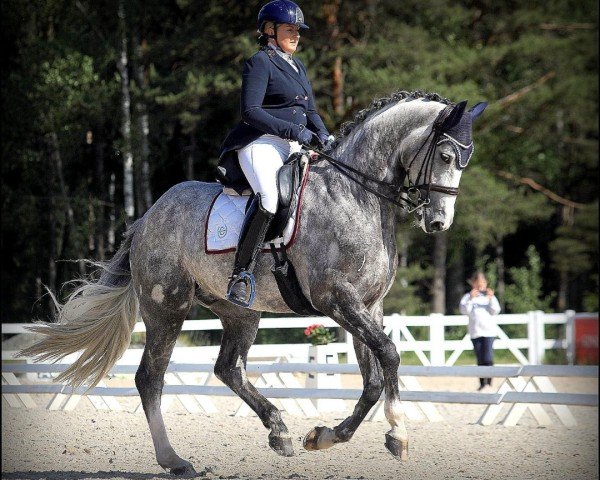 Pferd Lucky Look (Hannoveraner, 2016, von Libertad FRH)