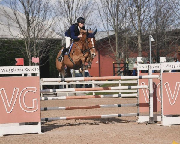 jumper Spj Linaro Sh (Holsteiner, 2015, from Uriko)