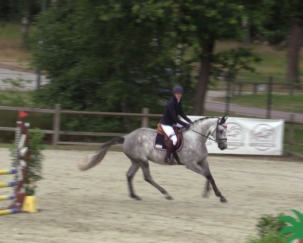 Reitturnier Westergellersen 2025