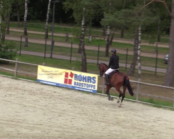 Reitturnier Westergellersen 2025