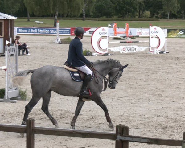 Reitturnier Westergellersen 2025