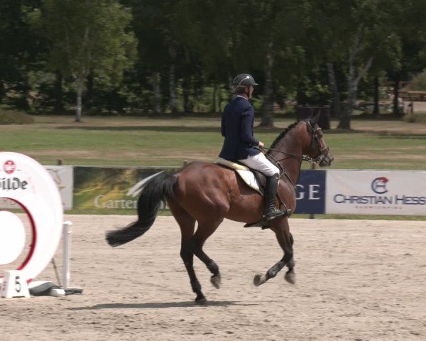 Reitturnier Westergellersen 2025