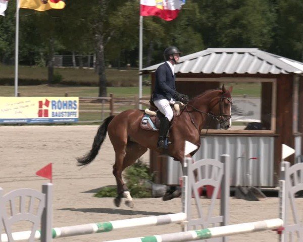 Reitturnier Westergellersen 2025