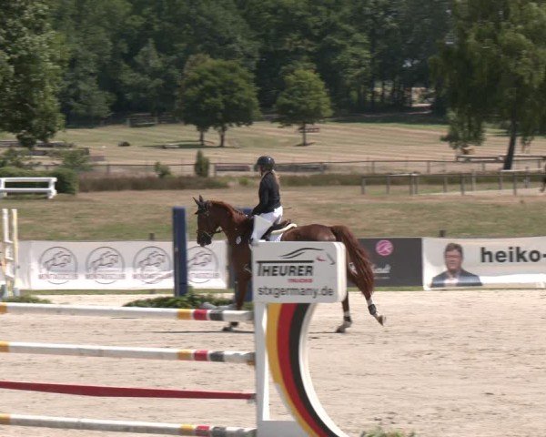 Reitturnier Westergellersen 2025