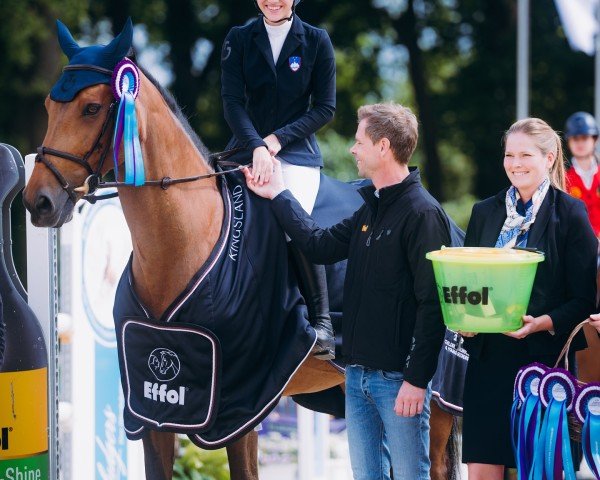 jumper Grc Acapella (Irish Sport Horse, 2010, from Luidam)
