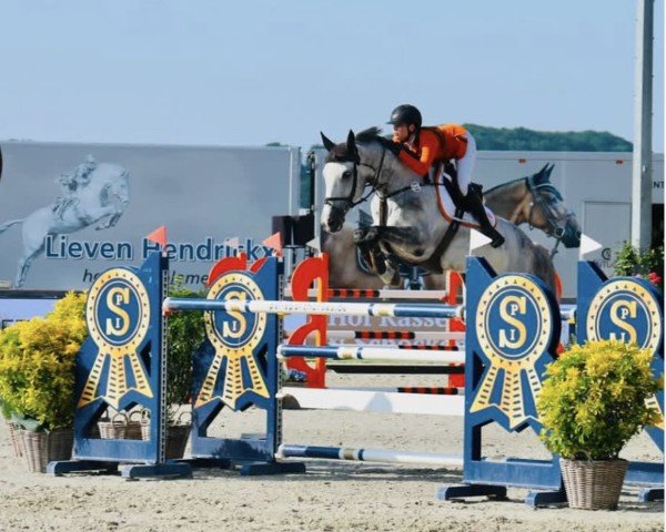 jumper Kaspar van de Roten Z (Zangersheide riding horse, 2015, from Kannan)