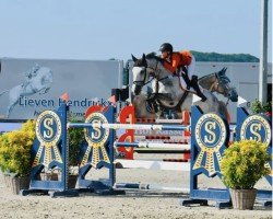 jumper Kaspar van de Roten Z (Zangersheide riding horse, 2015, from Kannan)