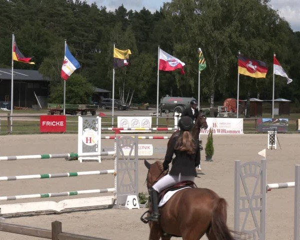Reitturnier Westergellersen 2025