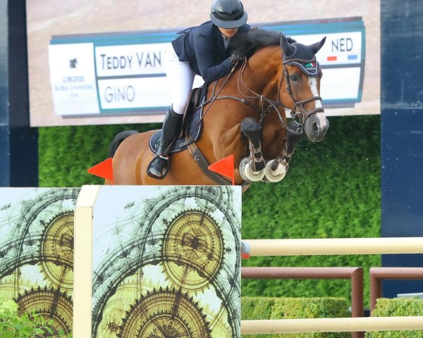 Springpferd Gino (KWPN (Niederländisches Warmblut), 2011, von Echo van het Spieveld) Springpferd Gino (KWPN (Niederländisches Warmblut), 2011, von Echo van het Spieveld)