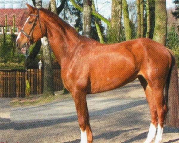 broodmare Equipage 9 (Oldenburg, 2004, from Del Piero)