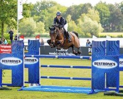 jumper Urville Z (Zangersheide riding horse, 2013, from Ukato)