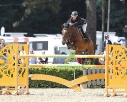 jumper Zazou (KWPN (Royal Dutch Sporthorse), 2004, from Germus R)