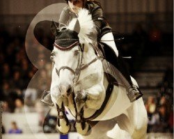 jumper Vona (KWPN (Royal Dutch Sporthorse), 2002, from Cantos)