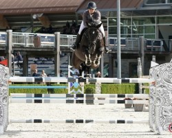 jumper Herma (KWPN (Royal Dutch Sporthorse), 2012, from Ukato)