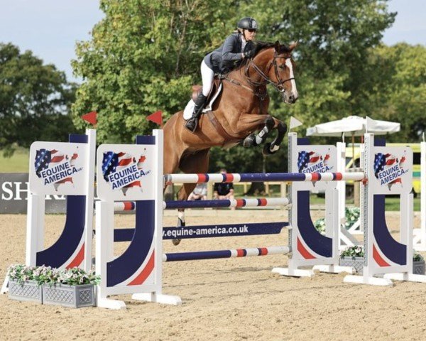 jumper Heisenberg (anglo european sporthorse, 2013, from Luidam)