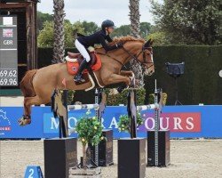 jumper Sandy Way Z (Zangersheide riding horse, 2014, from Hunter's Scendix)