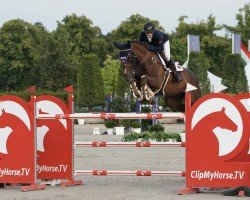 jumper Onaa van D'Heerlijkheid (Belgian Warmblood, 2014, from Kannan)