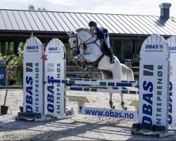 jumper Corneto (Spanish Sport Horse, 2010, from Cornet Obolensky)