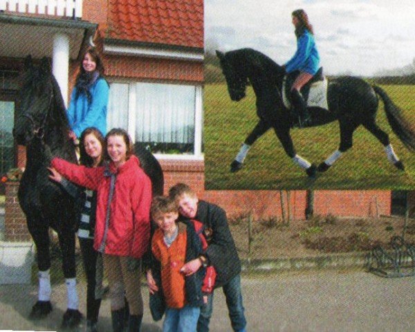 Pferd Lunia (Friese, 2008, von Teeuwis 389)
