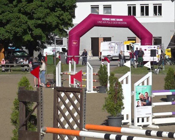 Reitturnier Kandersteg 2025