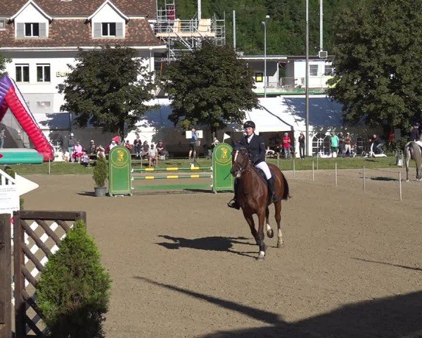 Reitturnier Kandersteg 2025