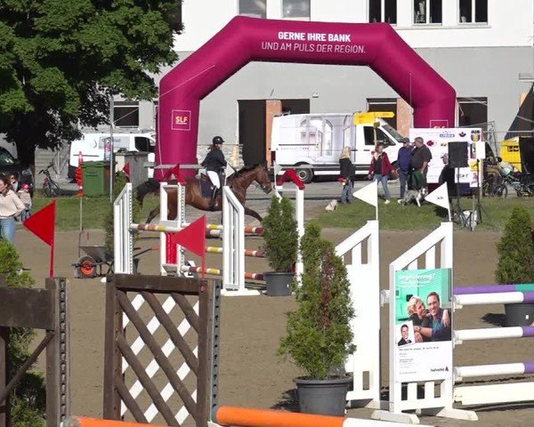 Reitturnier Kandersteg 2025