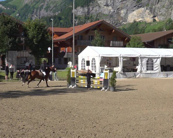 Reitturnier Kandersteg 2025
