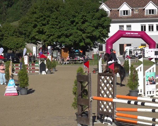 Reitturnier Kandersteg 2025