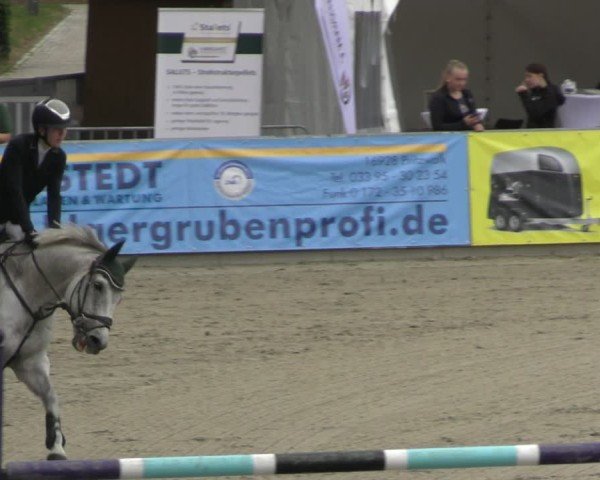 Reitturnier Redefin 2025